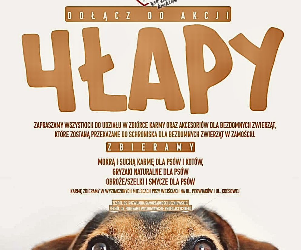 Cztery łapy akcja stowarzyszenia Krok za krokiem