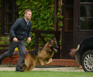 Komisarz Alex odcinek 129, Piotr Górski (Krystian Wieczorek)