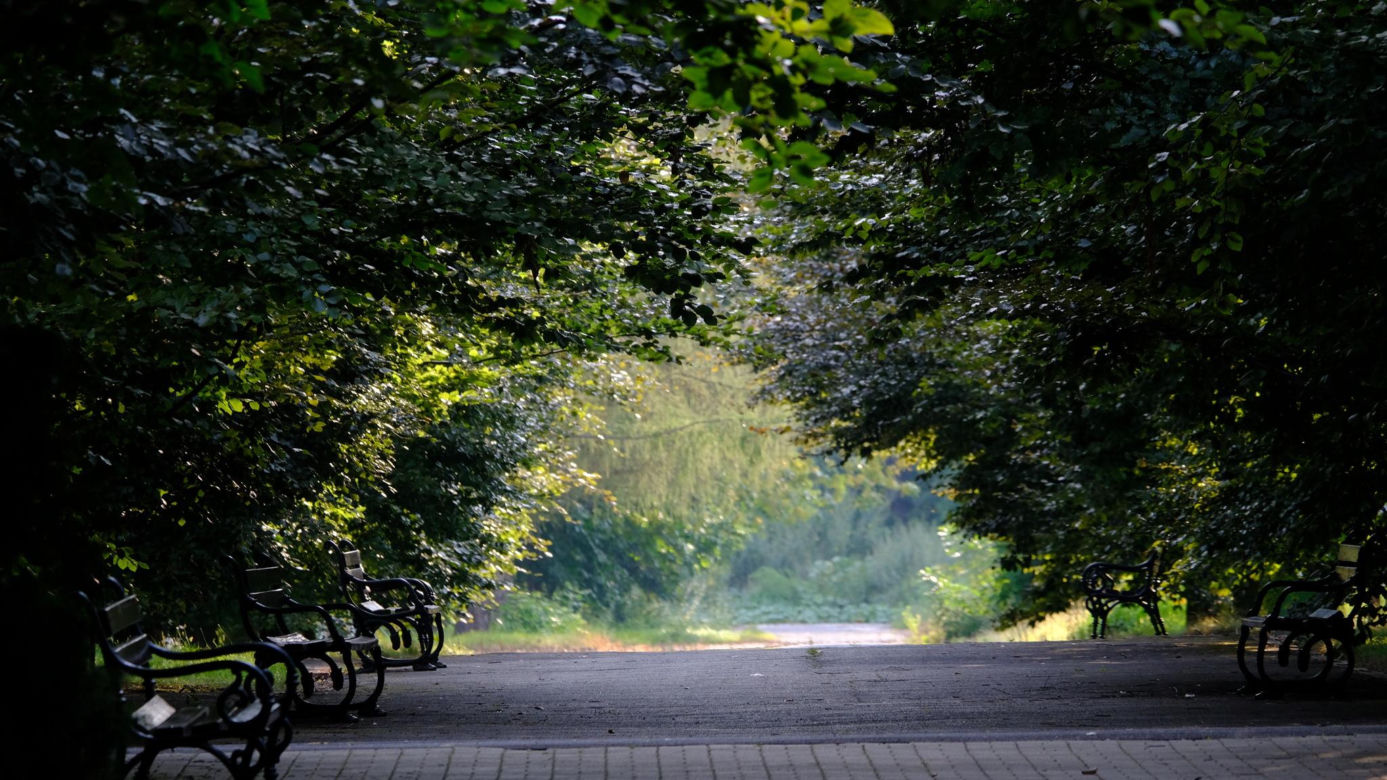 Ogród Botaniczny PAN w Powsinie