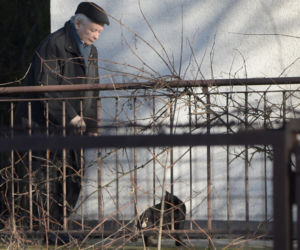 Wszystkie koty Jarosława Kaczyńskiego 