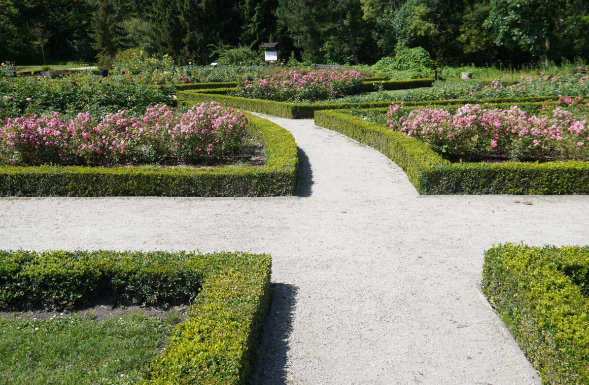 Ogród Botaniczny w Poznaniu 