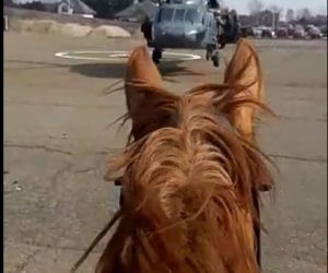 Policyjny Black Hawk nad Rzeszowem. Co się działo? [ZDJĘCIA]