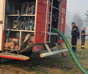 Pożar Lubańskiego Wielkiego Lasu 