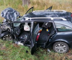 Siedem osób rannych, lądowały trzy śmigłowce. Wypadek pod Lesznem