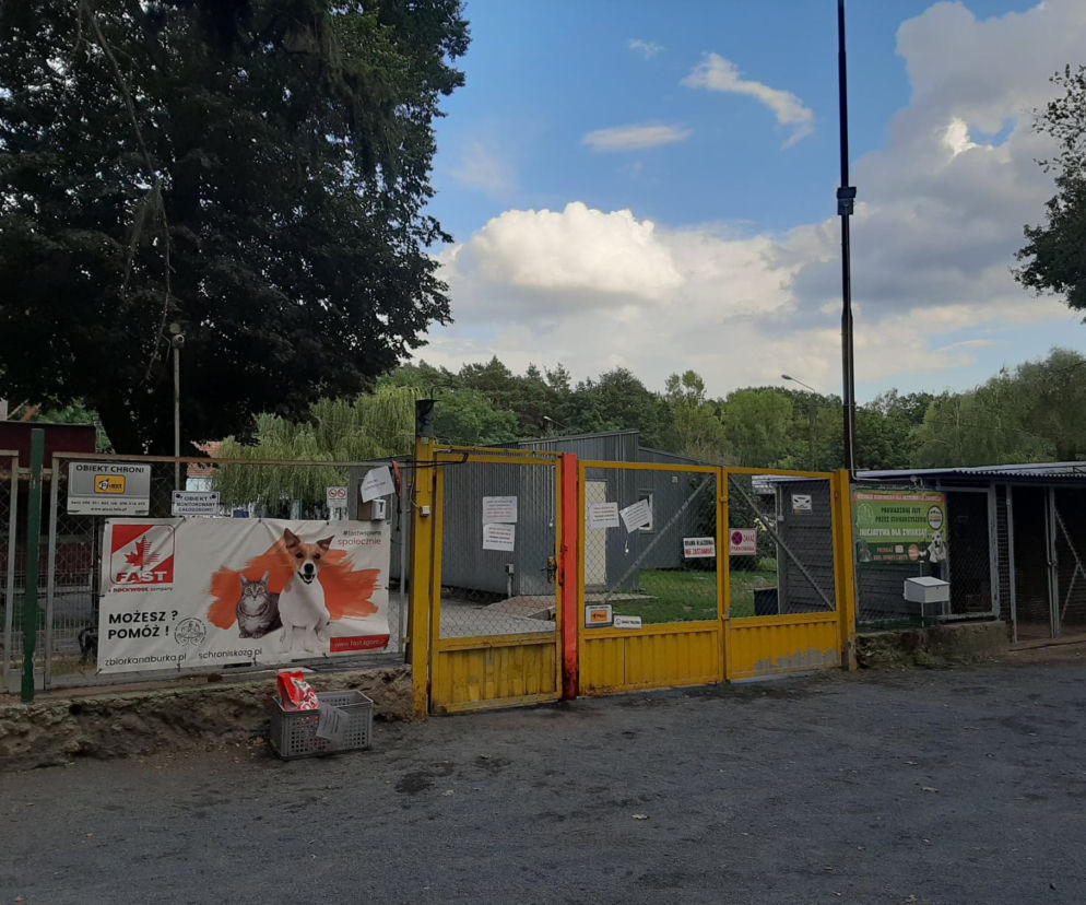 Schronisko