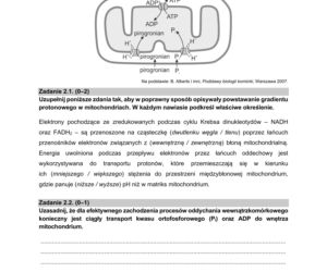 Matura 2021: Biologia. Arkusze CKE z biologii znajdziesz tutaj [Matura 12.05.2021]