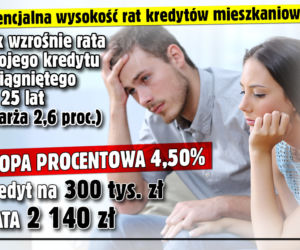 Raty kredytów