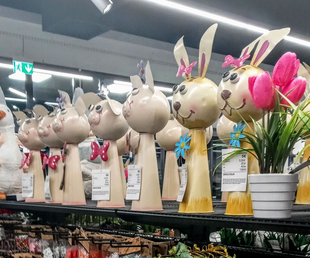 Przed Bożym Narodzeniem w sklepach powiało wiosną!