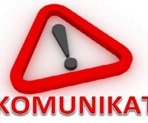 Dziki kot na terenie kompleksu leśnego w gm. Będzino (aktualizacja)