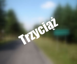 Trzyciąż