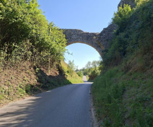 Ossolin