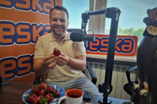 Starachowice 2026. Róże, zielona rewolucja i miasto pod telefonem