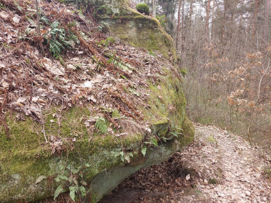Rezerwat Przyrody "Skały pod Adamowem"