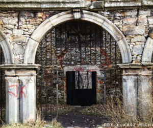 Ruiny Pałacu w Podzamczu Piekoszowskim