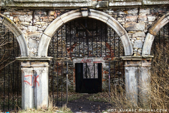 Ruiny Pałacu w Podzamczu Piekoszowskim