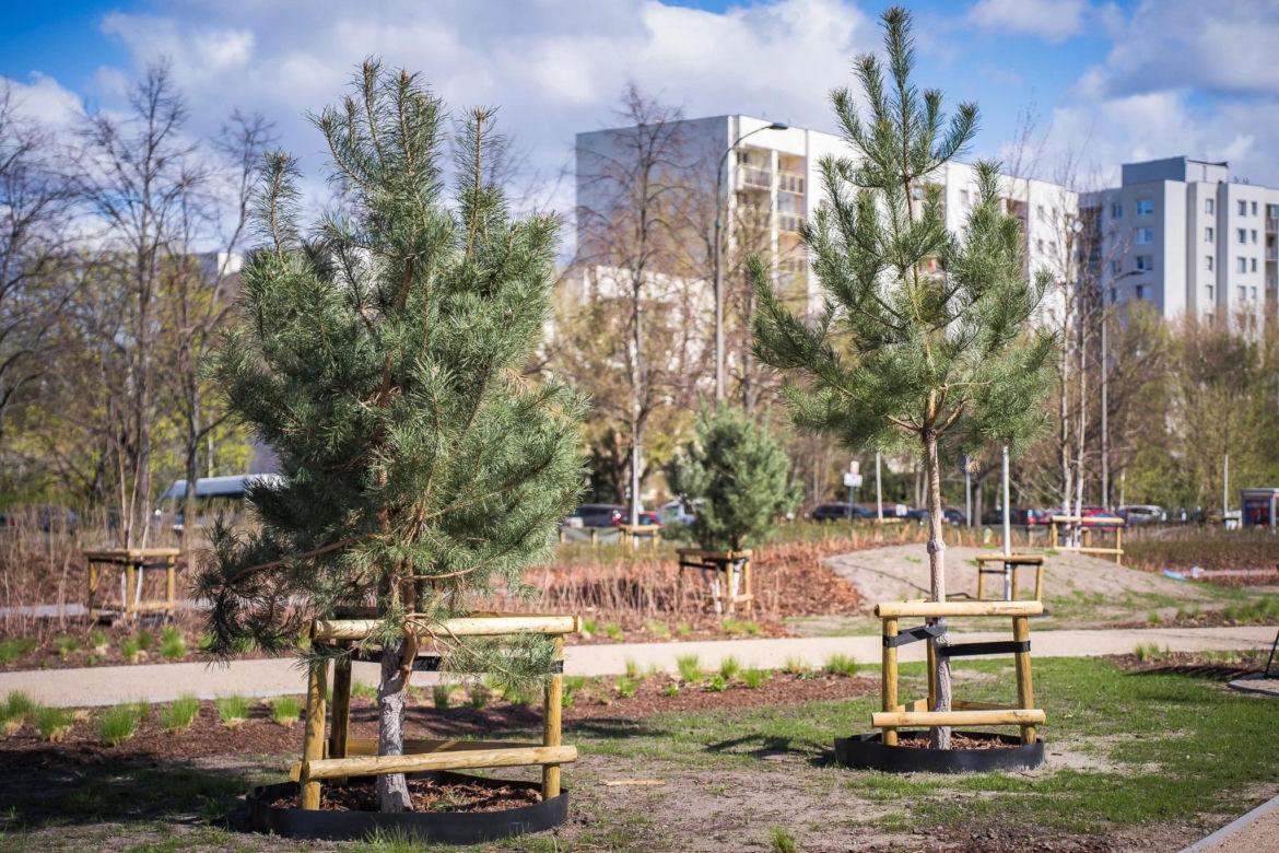 Pierwsza otwarta część parku nad Południową Obwodnicą Warszawy