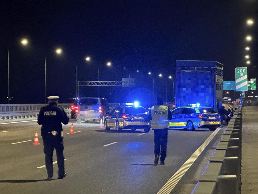 Byki brykają na moście w Warszawie! Wypadły z ciężarówki.