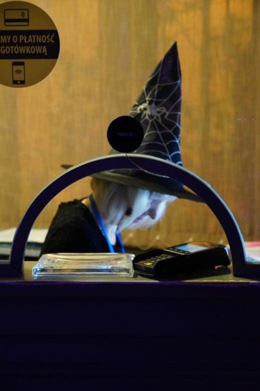 Pełna widownia na Filmowym Maratonie Halloween w iławskim kinie