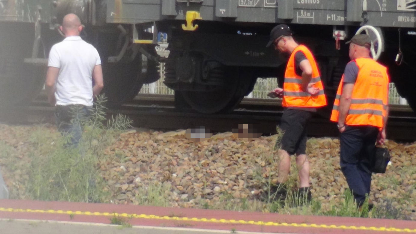 Makabra na torach w Warszawie. Rozczłonkowane ciało leży na torach