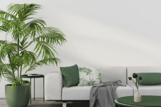 Rośliny w minimalistycznych wnętrzach