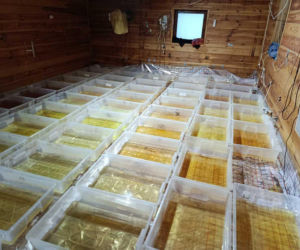 Narkotyki warte 36 milionów złotych. Trzech mężczyzn zatrzymanych przez policję