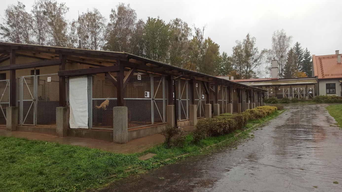 Schronisko dla Zwierząt w Olsztynie
