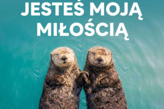 Kartki walentynkowe dla niego - proste, stylowe i z charakterem