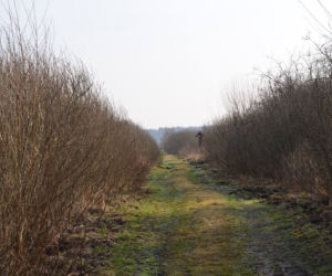 Biebrzański Park Narodowy