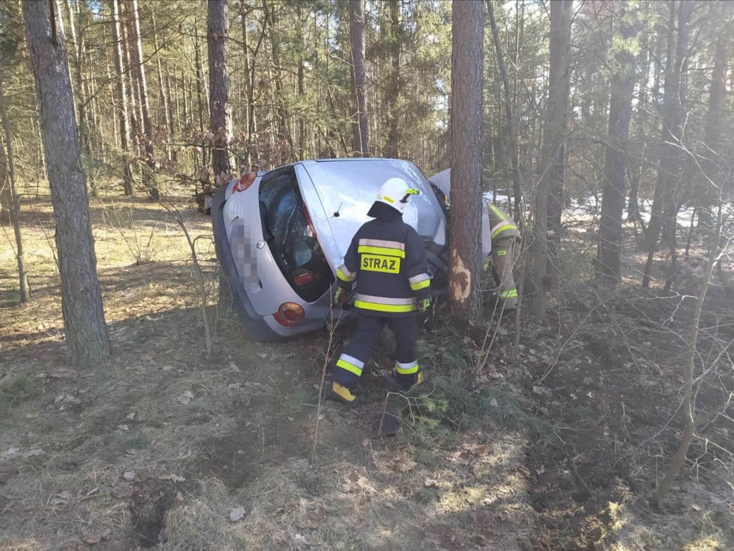 Wypadek na DW 686. Kierowca renault "zaparkował" między drzewami [ZDJĘCIA]