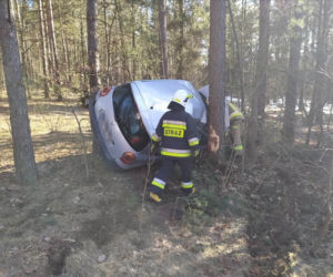 Wypadek na DW 686. Kierowca renault zaparkował między drzewami [ZDJĘCIA]