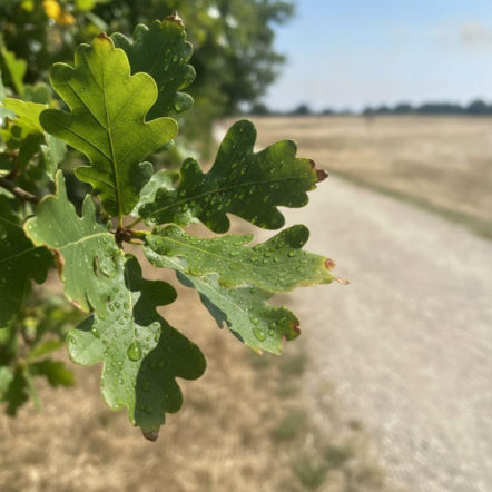 Weekend w Katowicach zapowiada się upalnie. Jeden dzień przyniesie kulminację gorąca