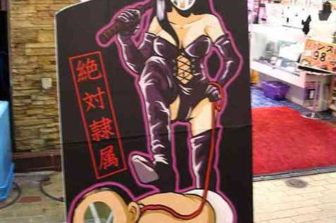 japonia mistrzem japonii