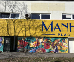 Plac Handlowy Manhattan w Krakowie, Wola Duchacka