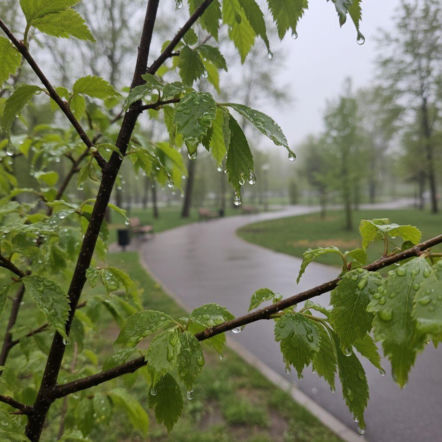 Weekend w Toruniu z wyraźną zmianą pogody. Po ciepłym piątku nadejdzie ochłodzenie