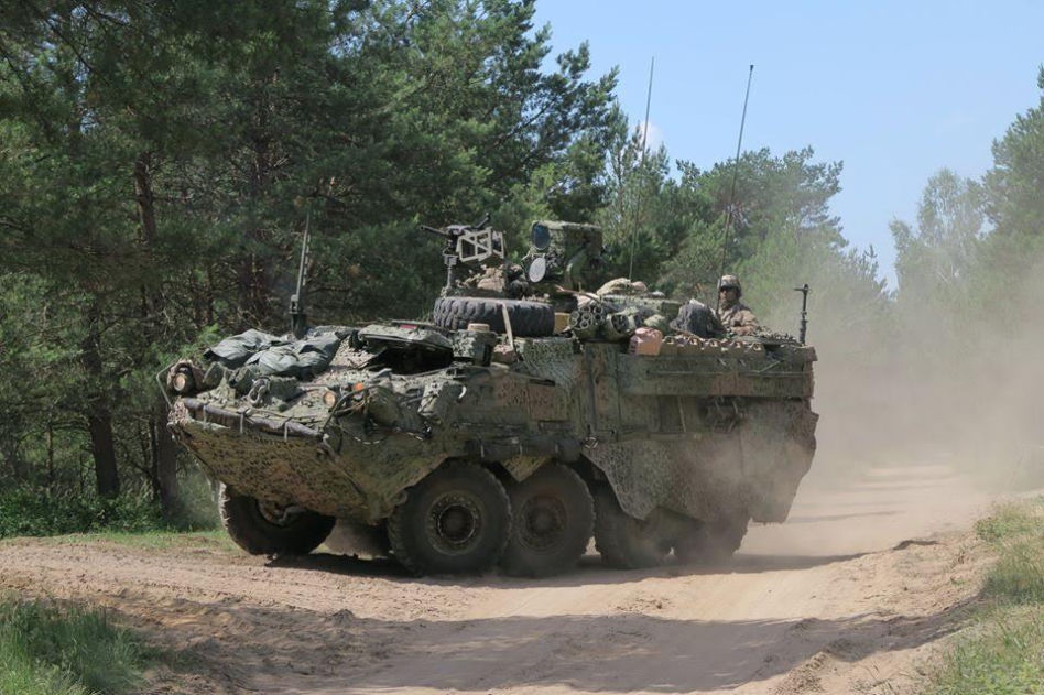 Wozy Stryker w Polsce
