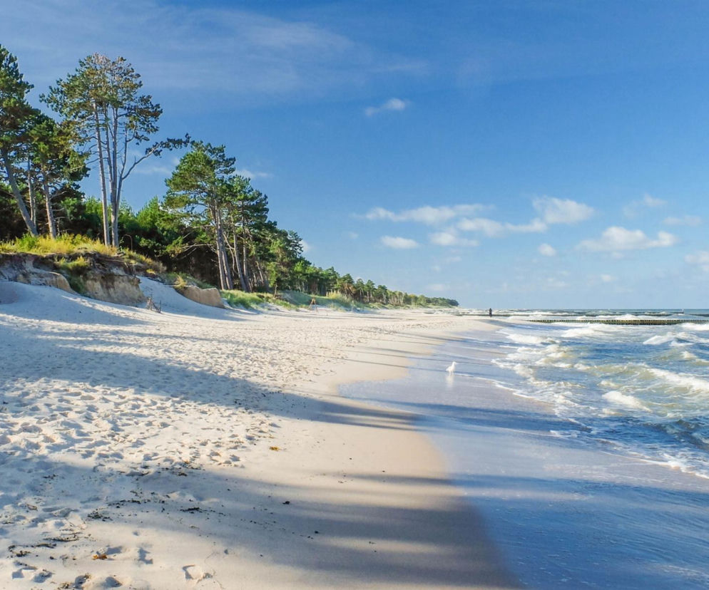 Szeroka, piaszczysta plaża w Ustce z linią sosnowego lasu na wydmach i wzburzonym morzem. Widoczne falochrony i błękitne niebo z białymi chmurami. To miejsce wygrało ranking najlepszych plaż, o czym możesz przeczytać na naszym portalu.