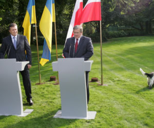 Pieski w Pałacu Prezydenckim