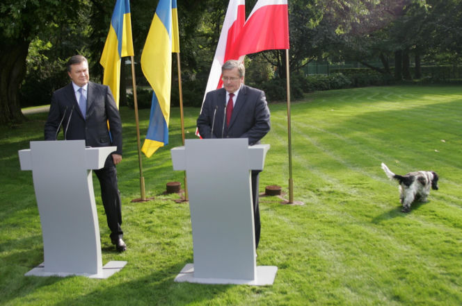 Pieski w Pałacu Prezydenckim