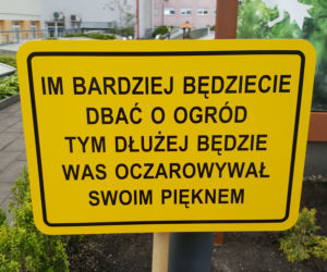 Zaczarowany ogród w Bydgoszczy
