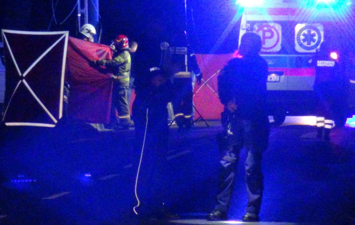 Drogowy horror w Kobyłce. Rozwalili kabriolet na słupie. Dwie osoby nie żyją