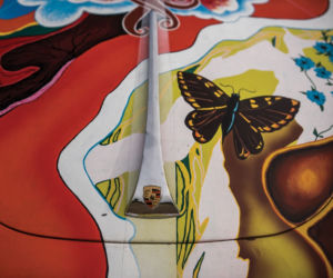 Porsche 356C Janis Joplin