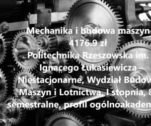 Po tych kierunkach studiów na Podkarpaciu zarobisz najwięcej