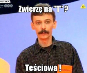 Dzień Teściowej 2021: MEMY. Najlepsze, śmieszne żarty i obrazki o teściowych [ZDJĘCIA]