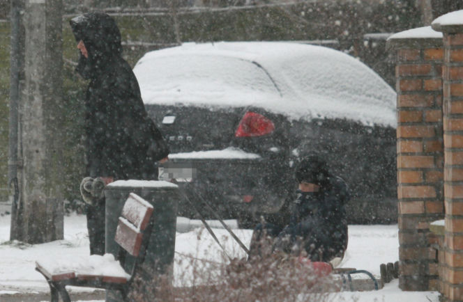 Marta Kaczyńska z synem i psami na sankach w lesie