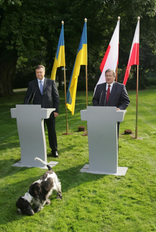 Pieski w Pałacu Prezydenckim