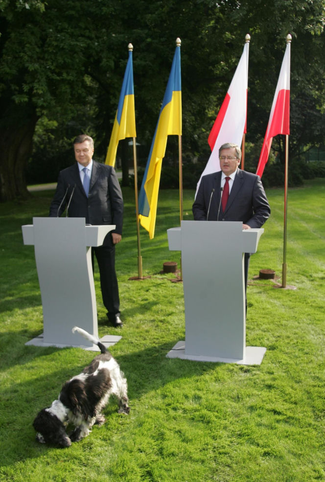 Pieski w Pałacu Prezydenckim