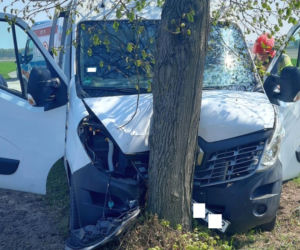 Kujawsko-pomorskie: Chciał ominąć stado dzików i uderzył w drzewo! Trafił do szpitala [ZDJĘCIA] 