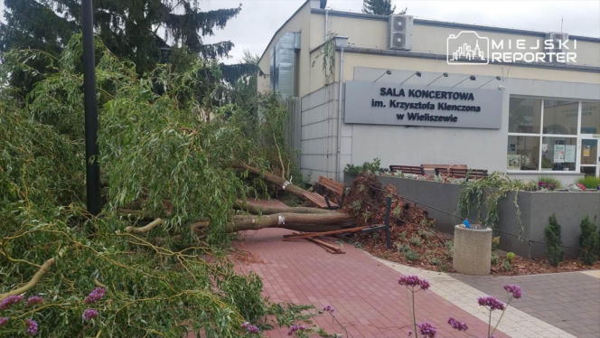 Potworne skutki wichury w Warszawie