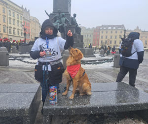 34. finał WOŚP w Krakowie. Golden Retrievery na Rynku Głównym