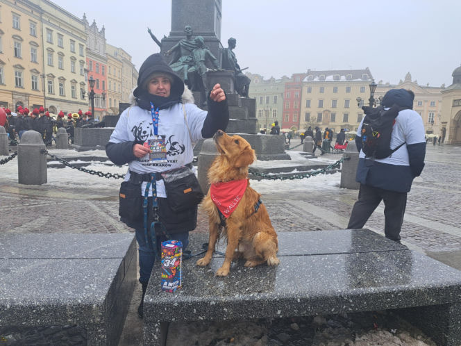 34. finał WOŚP w Krakowie. Golden Retrievery na Rynku Głównym